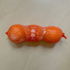 Jane Jumbo Tangerine Squishy