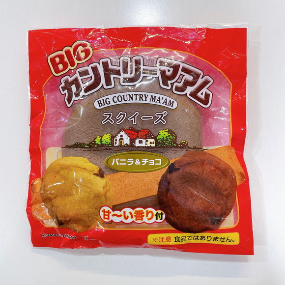 Rare Jumbo Japanese Cookie (Chocolate)