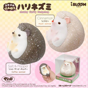 (Feb IBloom preorder) hedgehog