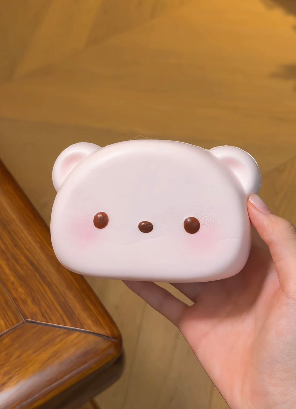 Nunu Bear Wallet Squishy
