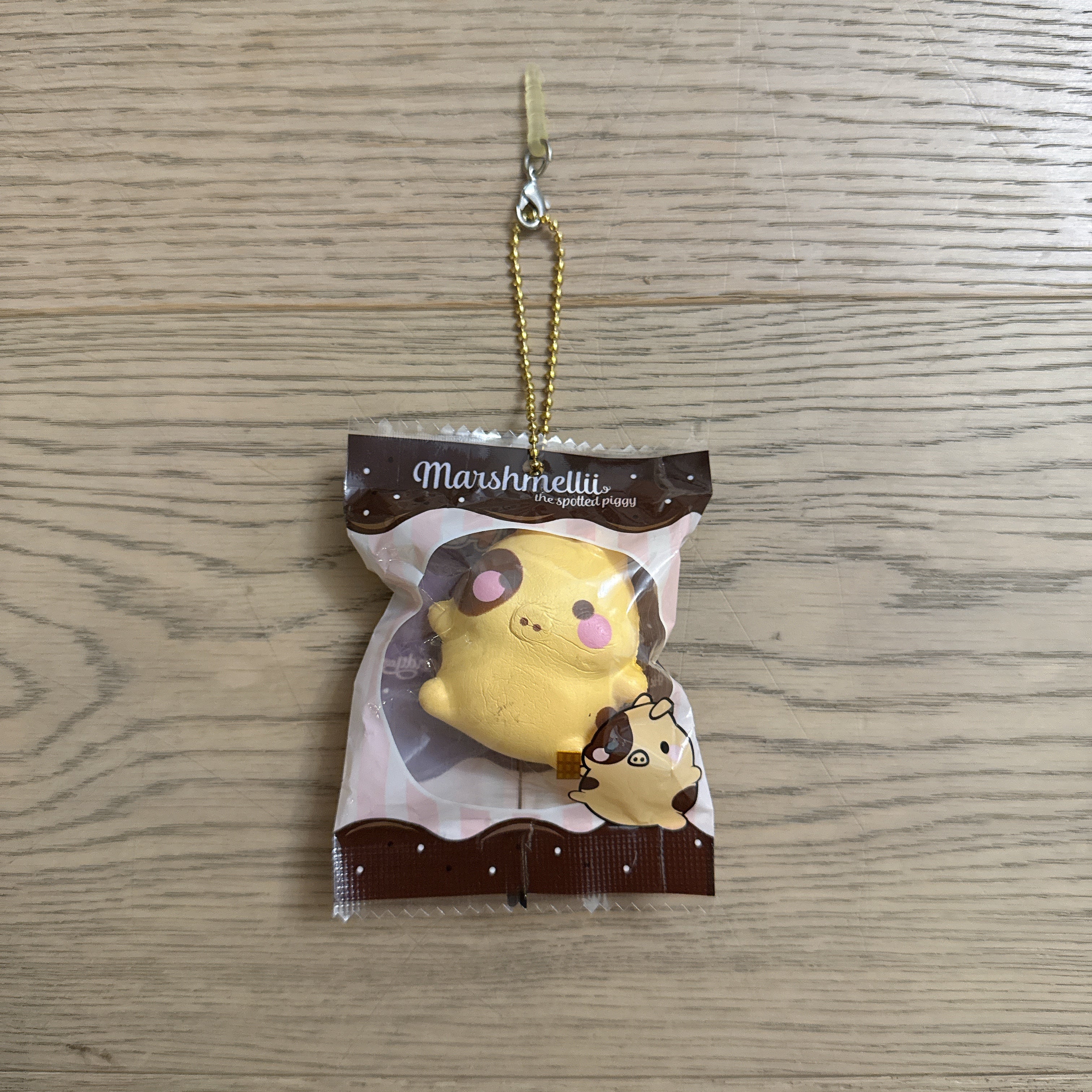 Creamiicandy Mini Spottii Squishy