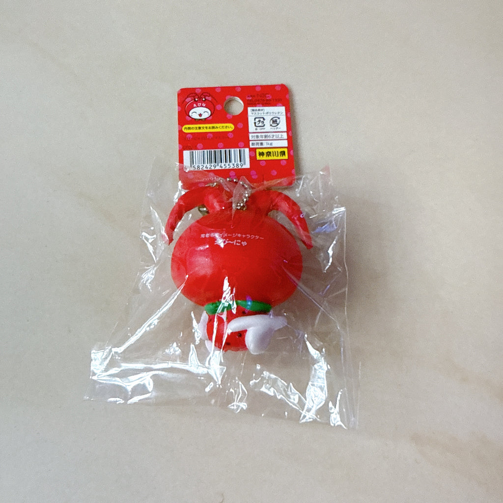 Japanese Tagged Mascot Squishy