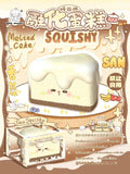 San Melted Cake Squishy