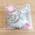 iBloom We Are The Cat Squishy