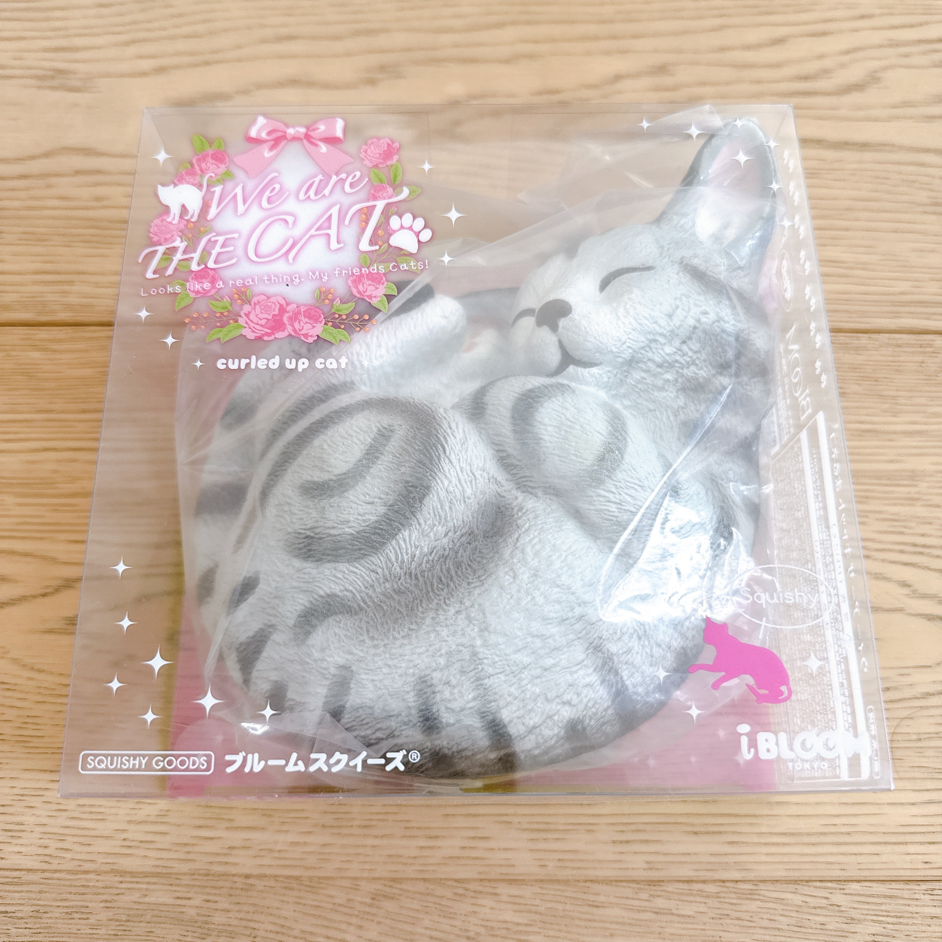 iBloom We Are The Cat Squishy