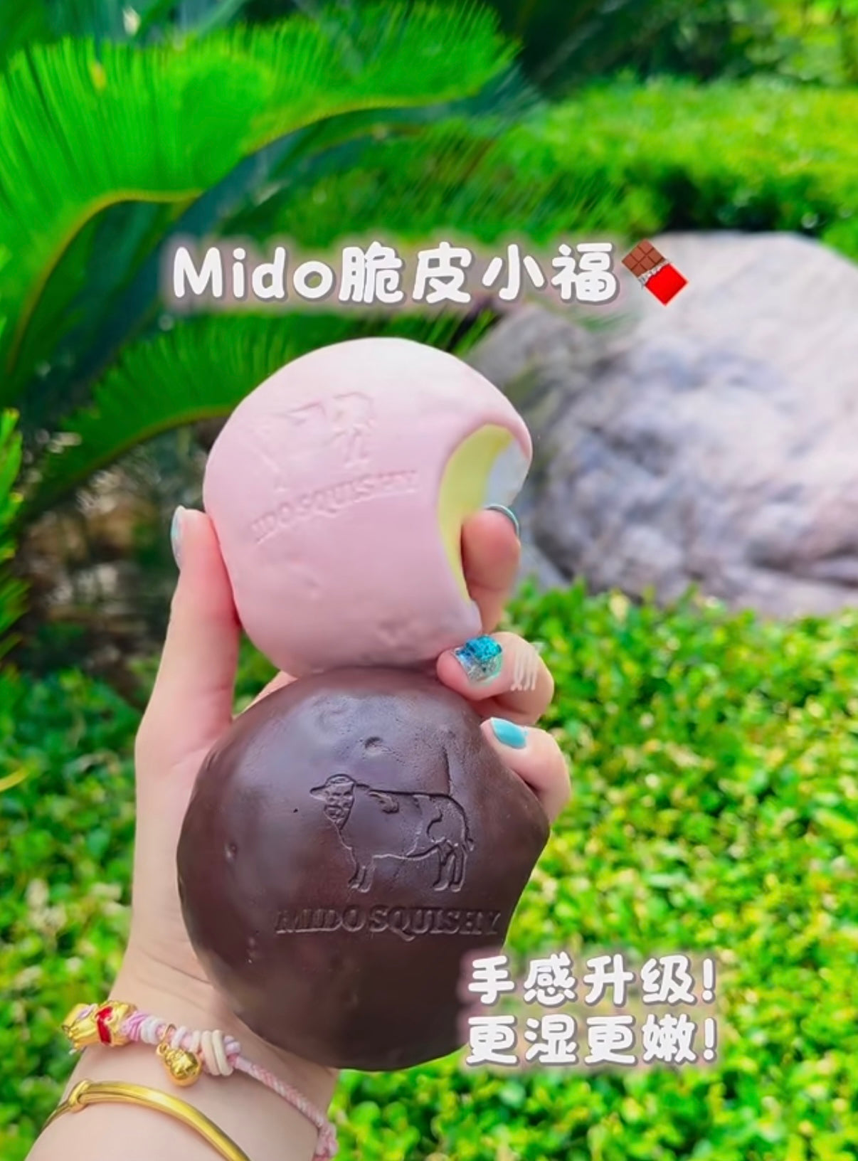 Mido Chocolate Mini Daifuku Squishy