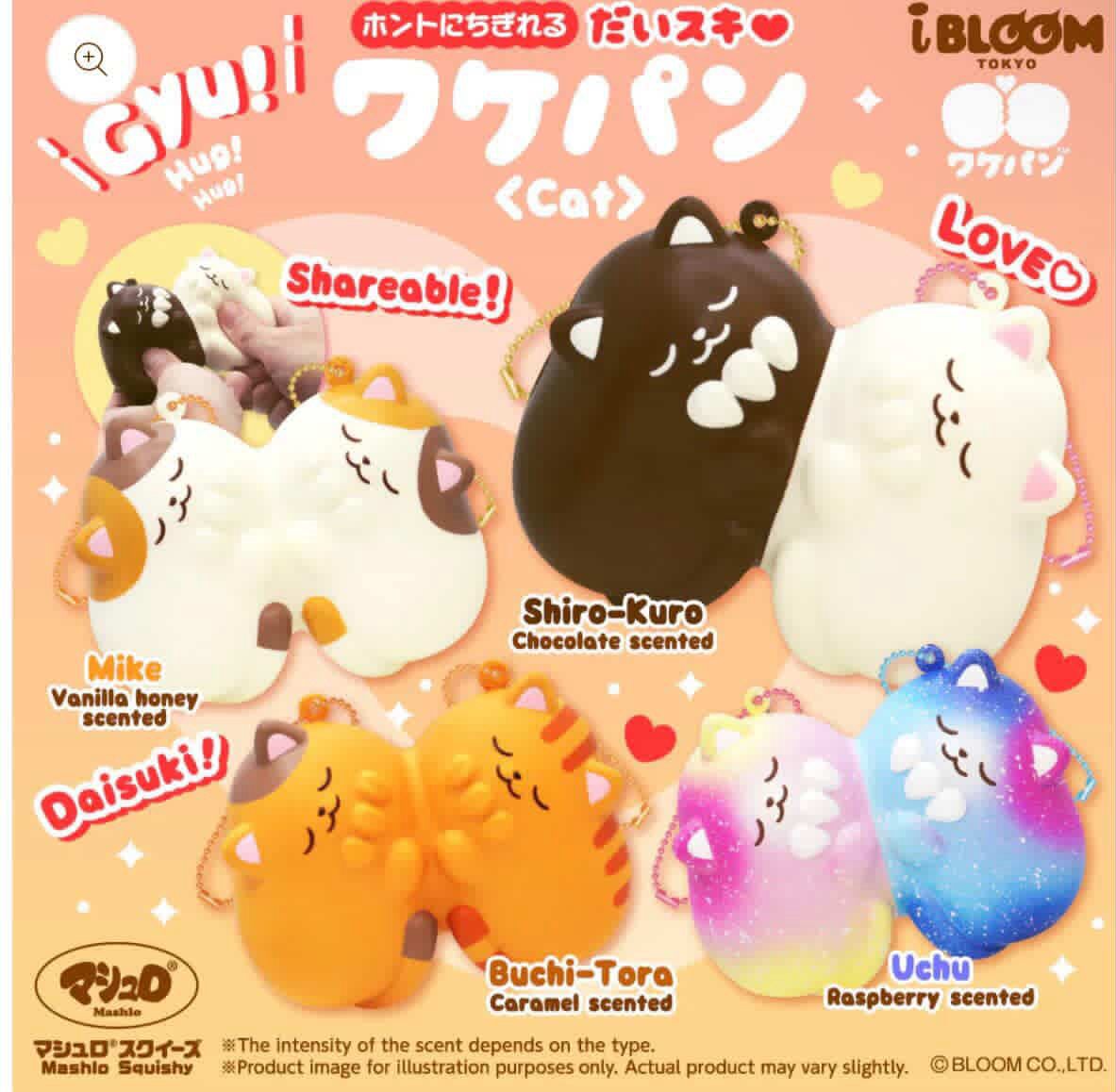 iBloom Cats Squishy