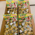 JDream Kiwi Squishy